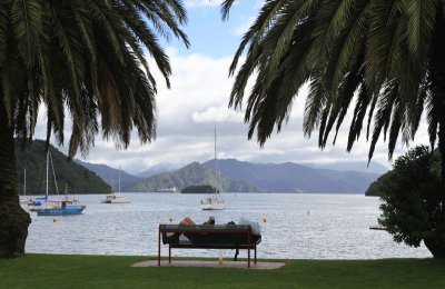 Forty Winks - Picton