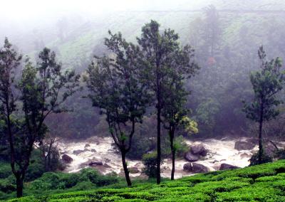 View, En Route, Ooty.