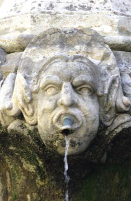 Fountain Gorgoyle, Pernes-Les-Fontaines