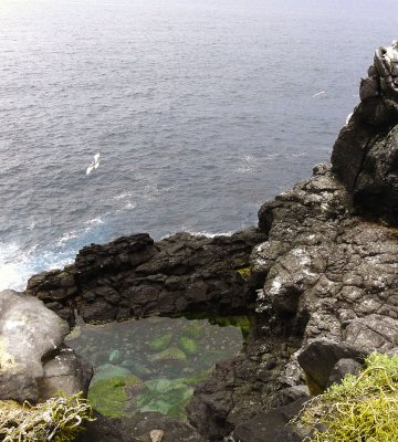 Galapagos Vista