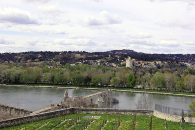 Pont d'Avignon