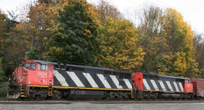 Twin CN in Fall Colors