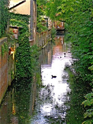 CANAL BACKWATER