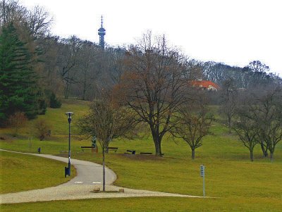 VIEW UP PETRIN HILL