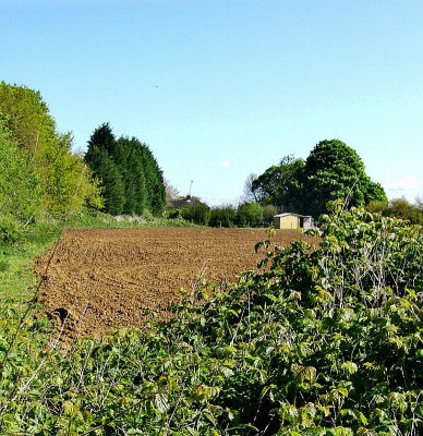 THE FIELD'S BEEN PLOUGHED