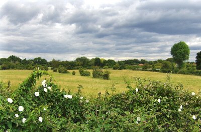 VIEW FROM FOOTPATH