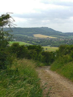 TRACK DOWN TO UPPER BEEDING