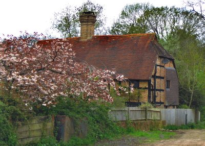 TIMBER FRAMED FARMHOUSE