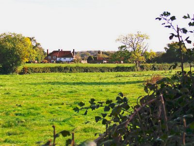 NYMANS FARM