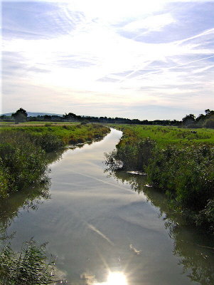 RIVER ADUR FROM BINES BRIDGE . 2