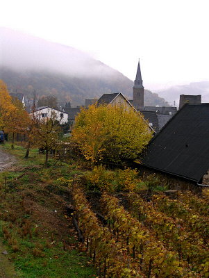 CHURCHYARD VIEW . 1