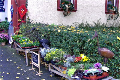 OUTSIDE THE FLORISTS