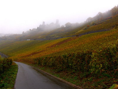 A CASTLE THURANT IN THE MIST   580