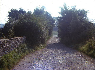 The Lane to Ivy Cottage 1964