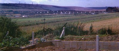 View from Back Garden at Portslade 1966