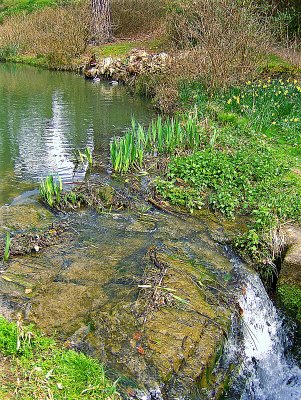 CASCADE FROM THE LAKE