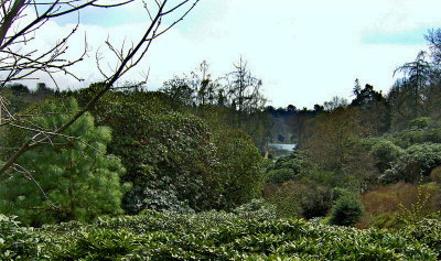 VIEW OVER GARDENS