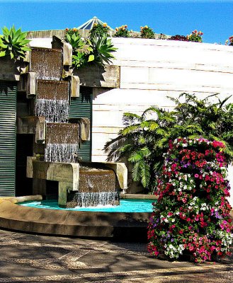 WATER FEATURE