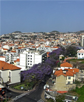 ABOVE THE STREETS OF FUNCHAL