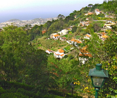 VIEW OVER  MONTE