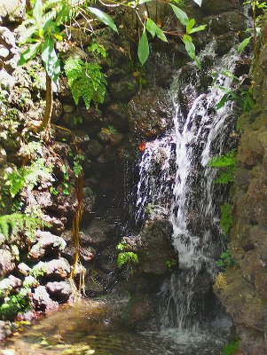 TINY WATERFALL