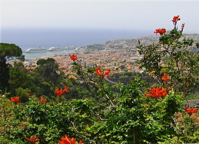 VIEW OVER FUNCHAL