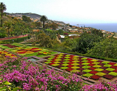 A FLORAL MOSAIC    