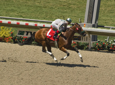 del_mar_racetrack