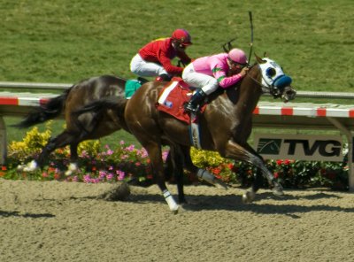 DelMar-2.jpg