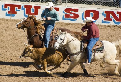 tucson_rodeo