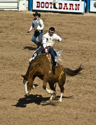 20100225_Tucson Rodeo_0081.jpg