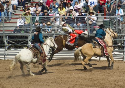 20100225_Tucson Rodeo_0072.jpg