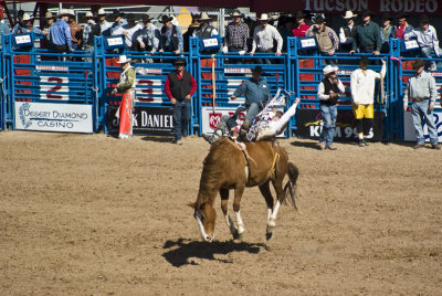 20100225_Tucson Rodeo_0079.jpg
