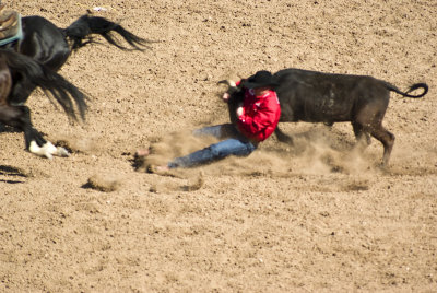 20100225_Tucson Rodeo_0096.jpg