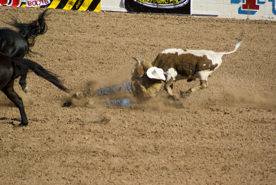 20100225_Tucson Rodeo_0103.jpg
