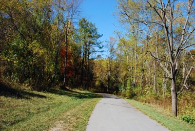 wildwoodpark