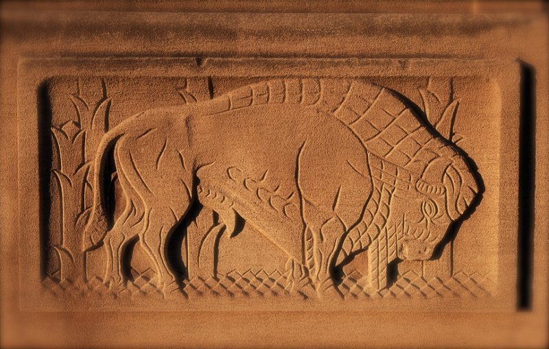 State_Bison_detail.jpg