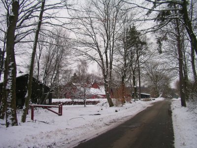 Gdding skog