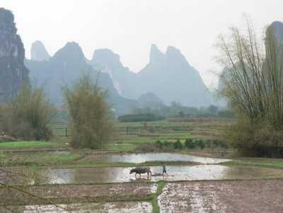 Farmer in South China