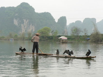 Fisherman on The Li River