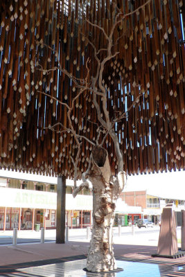 The tree of knowledge at Barcaldine