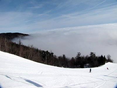 g3/21/767021/3/123361690.h1SZ3ceH.jpg