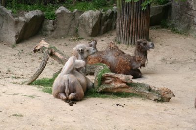 IMG_7291.jpg