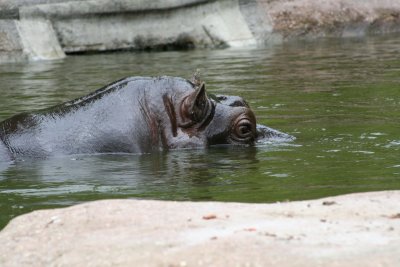 IMG_7320.jpg