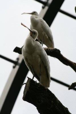 IMG_7332.jpg