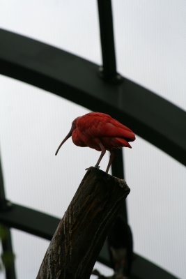 IMG_7333.jpg