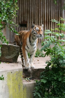 IMG_7337.jpg