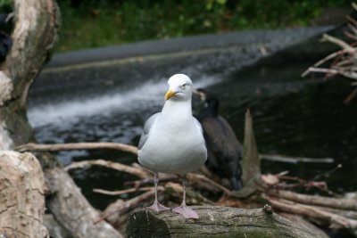IMG_7362.jpg