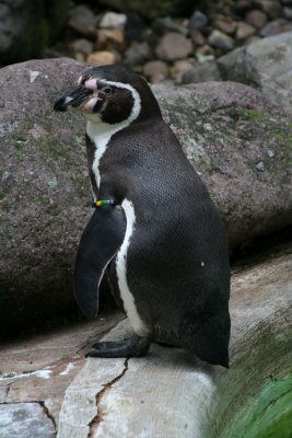 IMG_7387.jpg