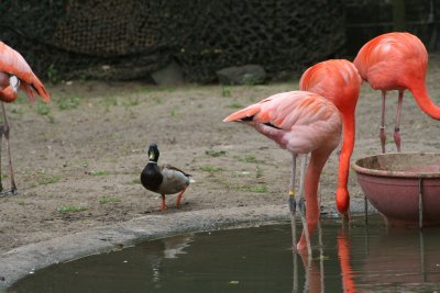 IMG_7408.jpg